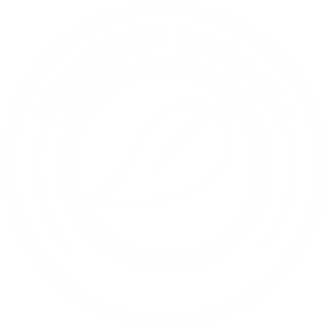 Brooklyn Prospect High School (BPHS) - Prospect Schools in Brooklyn, NY