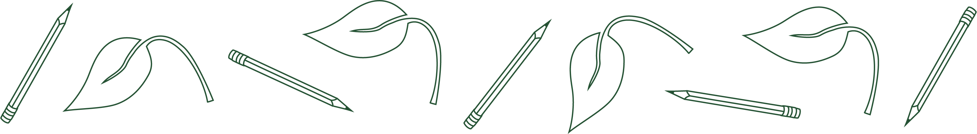 Pencils and leaves divider_green Pencils and leaves divider_green
